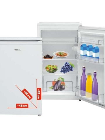 Regal 1090 A+ Büro Tipi Buzdolabı